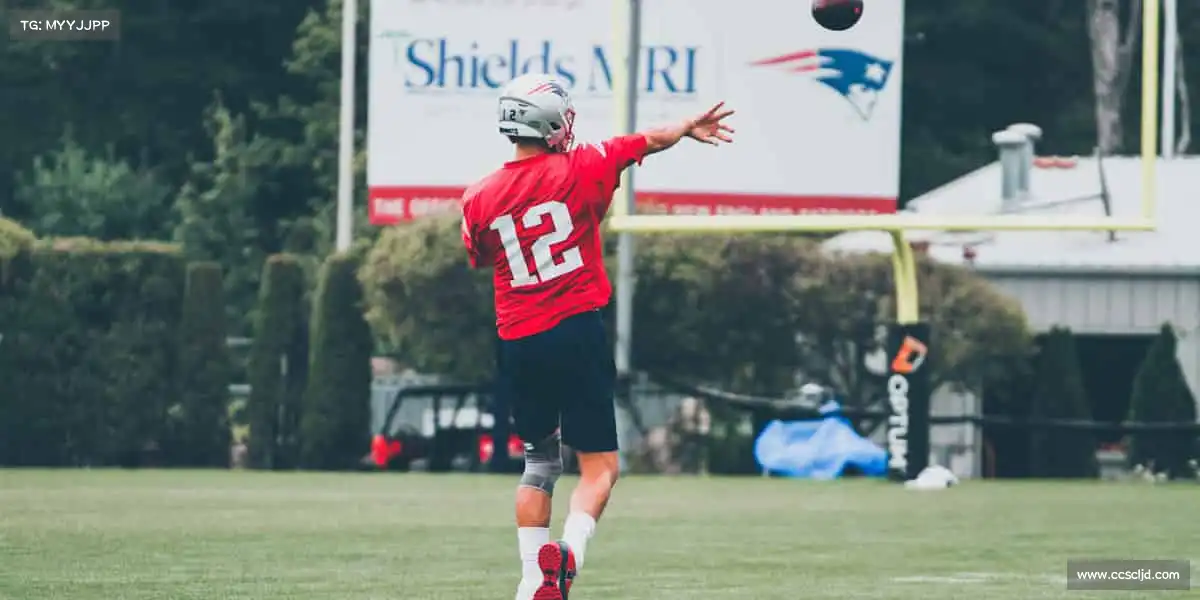 为什么选择我们